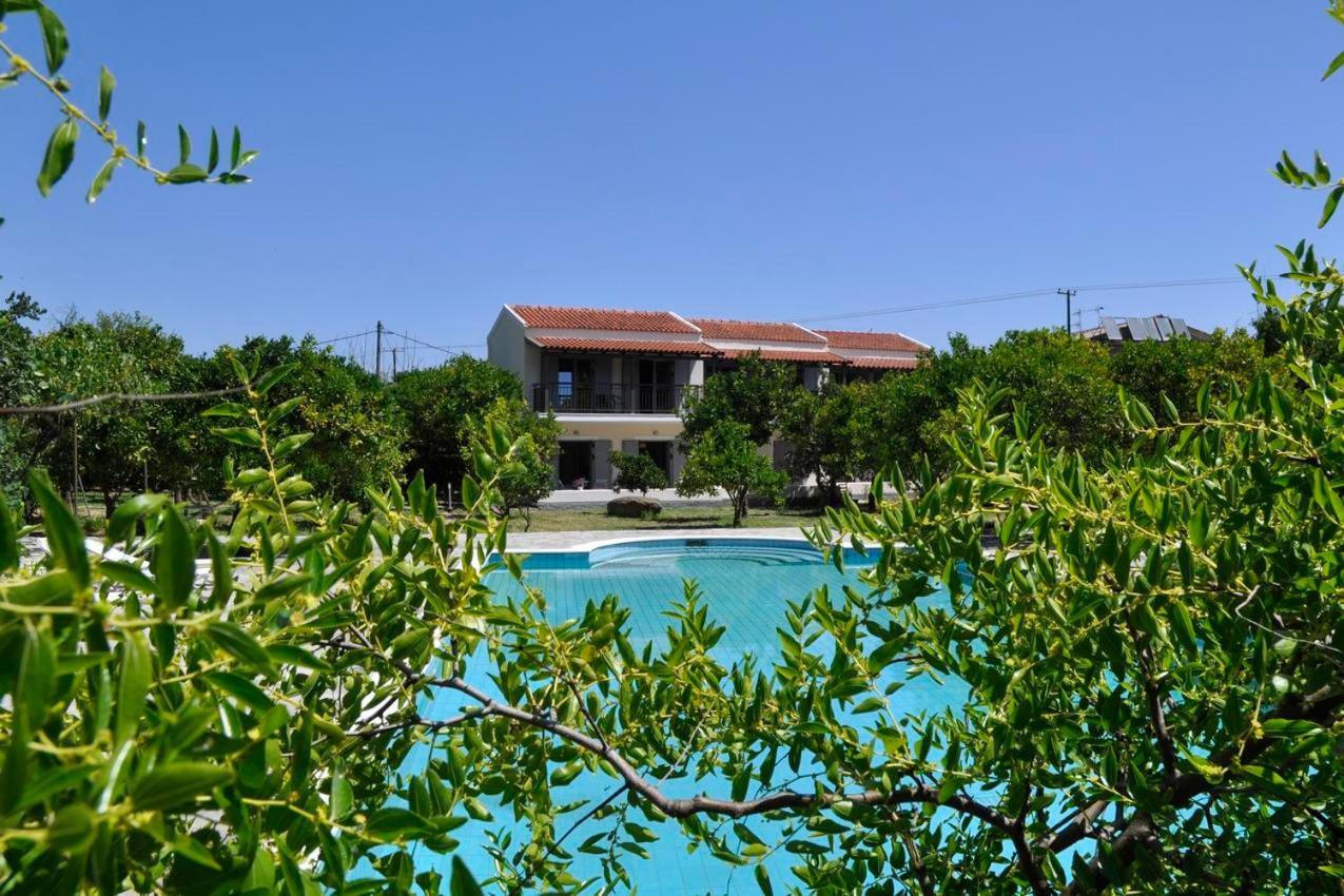 Orange Grove * Μπενίτσες