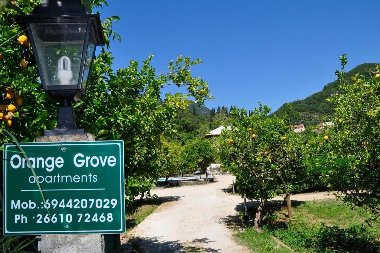 Orange Grove * Benitses (Corfu)