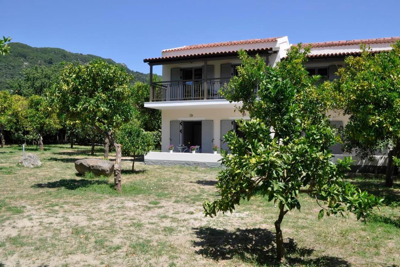 Апартаменты Orange Grove Бенитсес