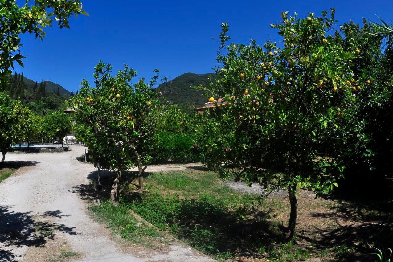 Апартаменты Orange Grove *