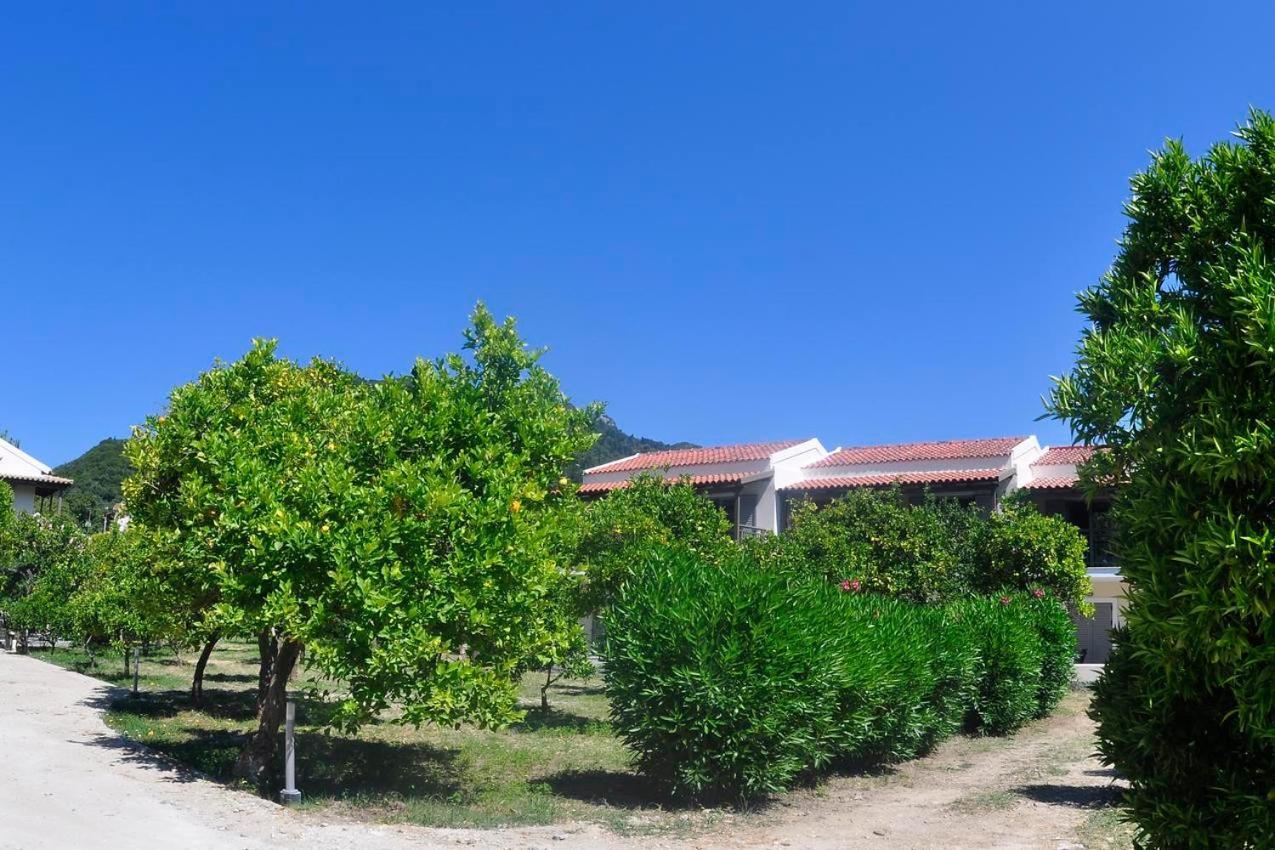 Orange Grove Бенитсес