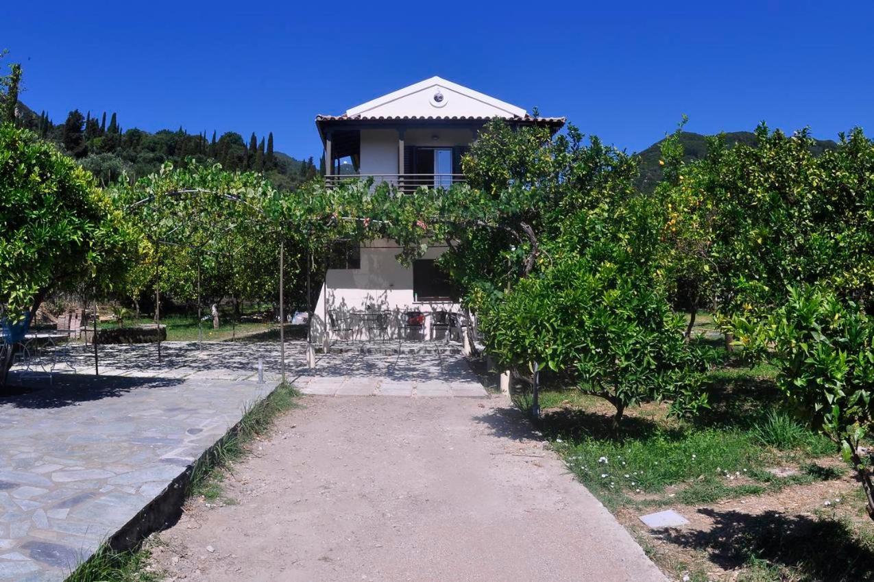 Orange Grove Апартаменты Бенитсес